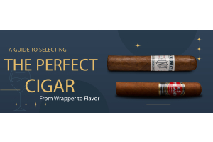 A Guide to Selecting the Perfect Cigar: From Wrapper to Flavor