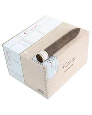 Cain Maduro 654T