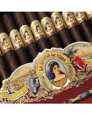 La Aroma De Cuba Mi Amor Valentino